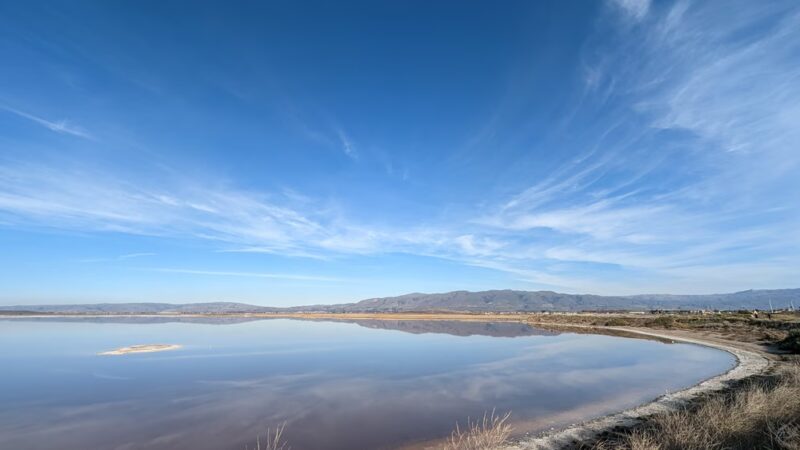 Alviso Marina County Park - Alviso, CA