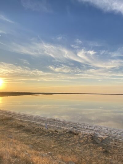 Alviso Marina County Park - Alviso, CA