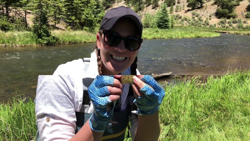 Rio Costilla Park & Campground - Amalia, NM