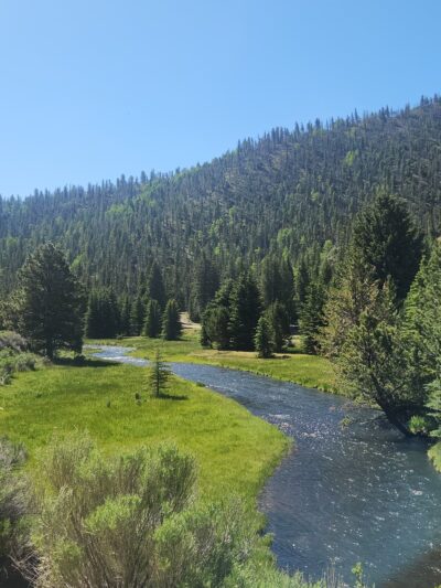 Rio Costilla Park & Campground - Amalia, NM