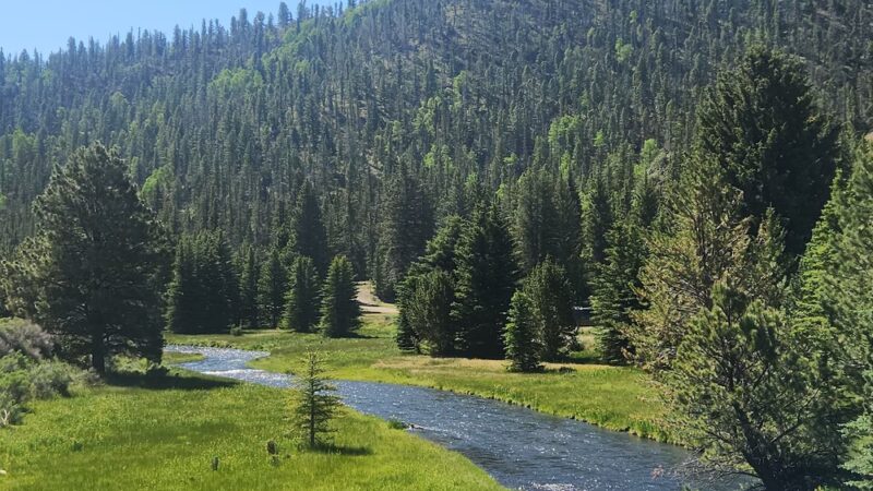 Rio Costilla Park & Campground - Amalia, NM