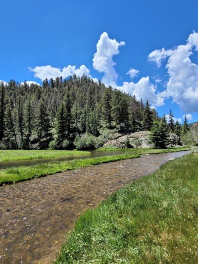 Rio Costilla Park & Campground - Amalia, NM