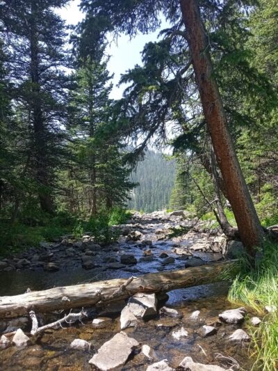 Rio Costilla Park & Campground - Amalia, NM
