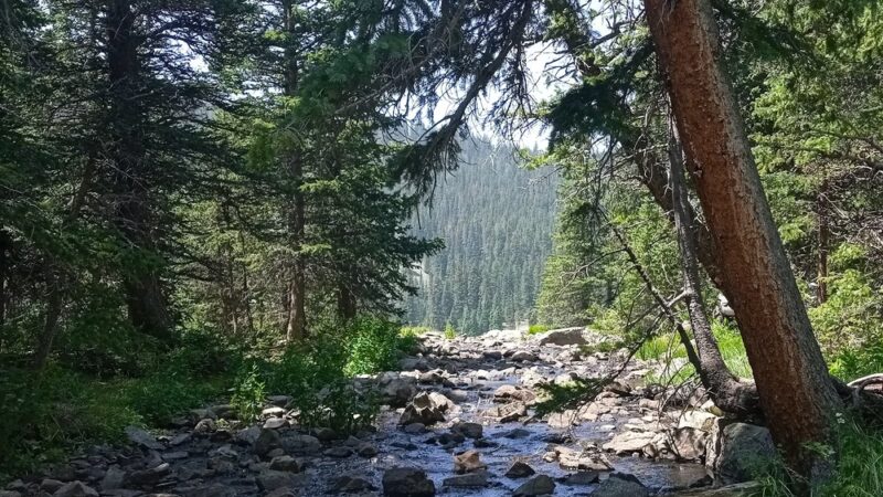 Rio Costilla Park & Campground - Amalia, NM
