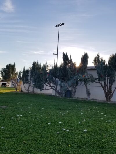 Amargosa Valley Park - Amargosa Valley, NV