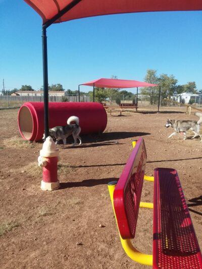 Bark Park - Free Public Dog Park - Amarillo, TX