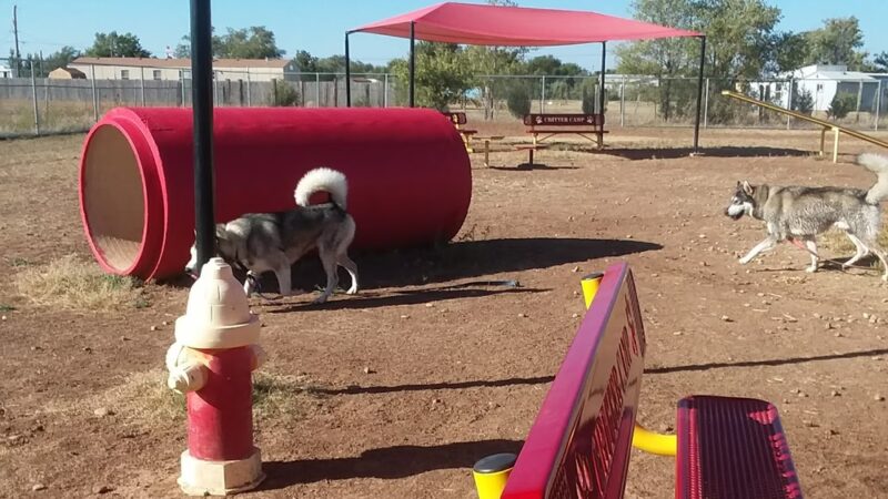 Bark Park - Free Public Dog Park - Amarillo, TX