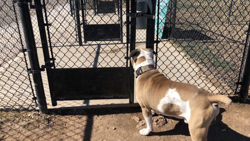 Dog Park at Love’s Travel Stops - Amarillo, TX