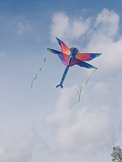 Glenwood Park - Amarillo, TX