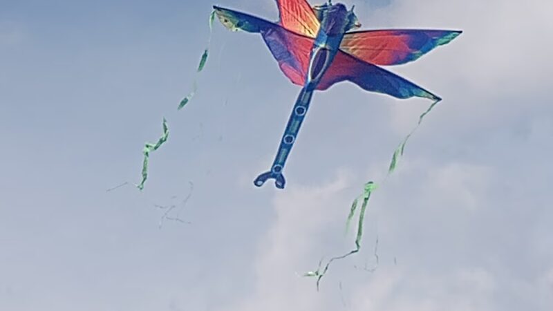 Glenwood Park - Amarillo, TX