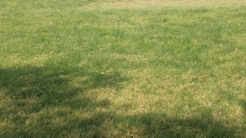 Glenwood Park - Amarillo, TX