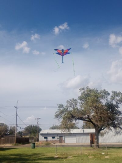 Glenwood Park - Amarillo, TX