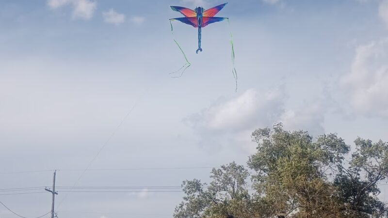 Glenwood Park - Amarillo, TX