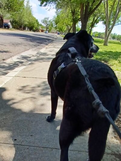 Paramount Park - Amarillo, TX