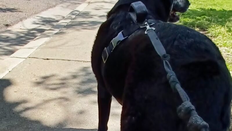 Paramount Park - Amarillo, TX