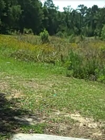 Southeast Park - Amarillo, TX