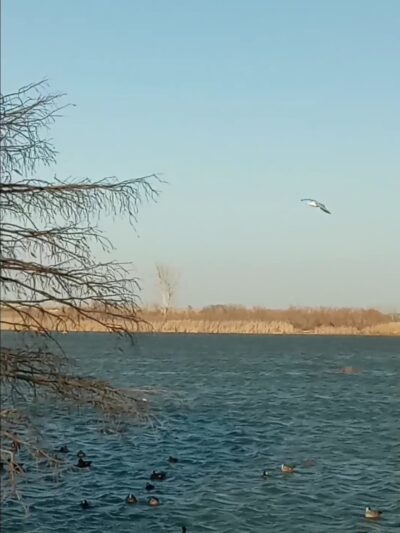 Southeast Park - Amarillo, TX