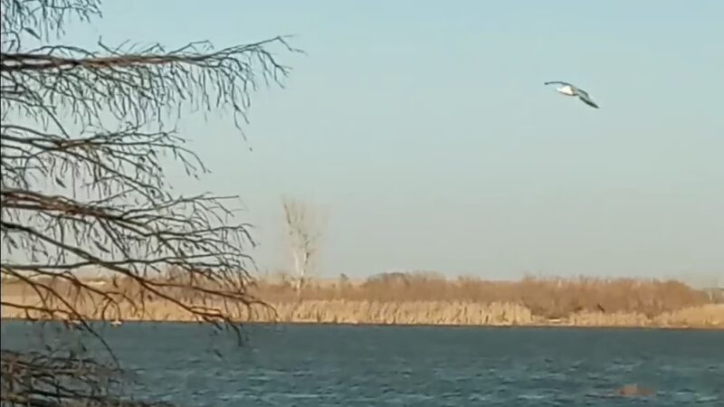 Southeast Park - Amarillo, TX