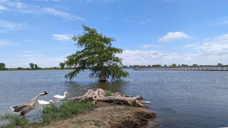 Southeast Park - Amarillo, TX