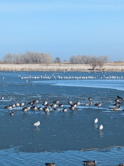 Southeast Park - Amarillo, TX