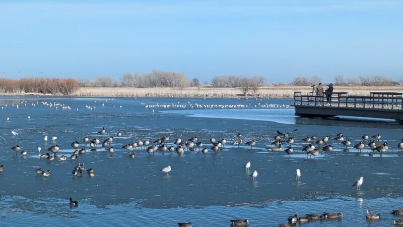 Southeast Park - Amarillo, TX