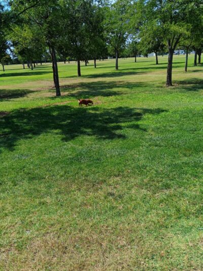 John Stiff Memorial Dog Park - Amarillo, TX