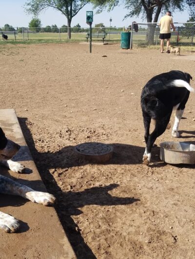 John Stiff Memorial Dog Park - Amarillo, TX