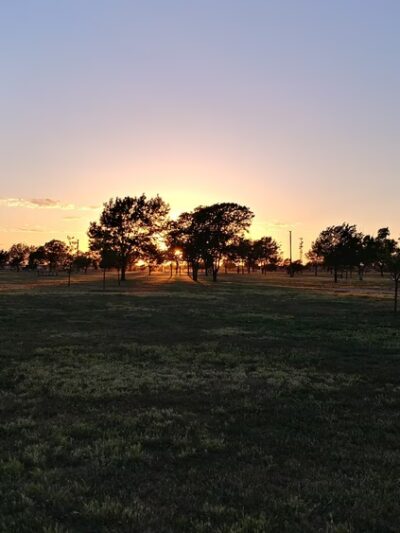 John Stiff Memorial Dog Park - Amarillo, TX