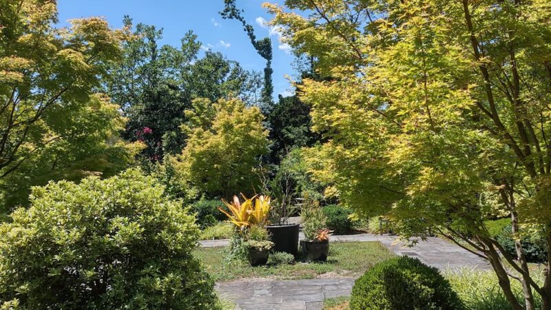 Ambler Arboretum of Temple University - Ambler, PA
