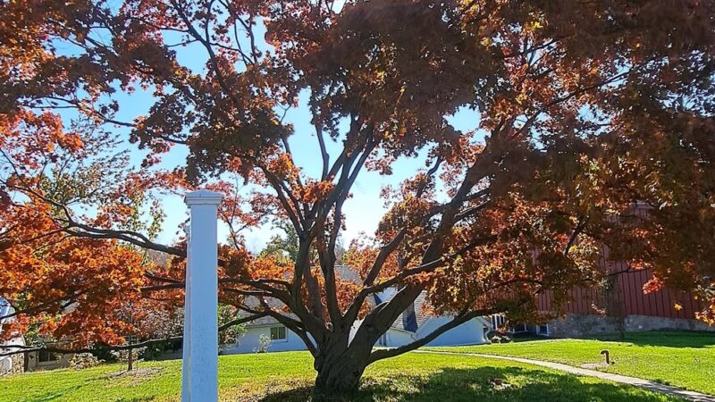 Ambler Arboretum of Temple University - Ambler, PA