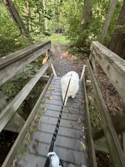 Ambler Borough Park - Ambler, PA