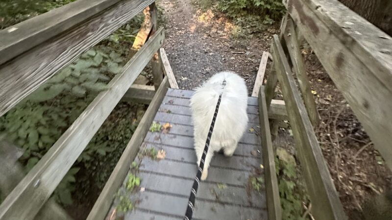 Ambler Borough Park - Ambler, PA