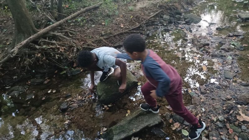 Ambler Borough Park - Ambler, PA