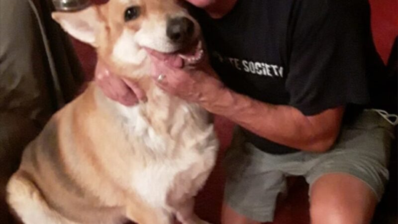 Diamonds in the Woof - Ambler, PA