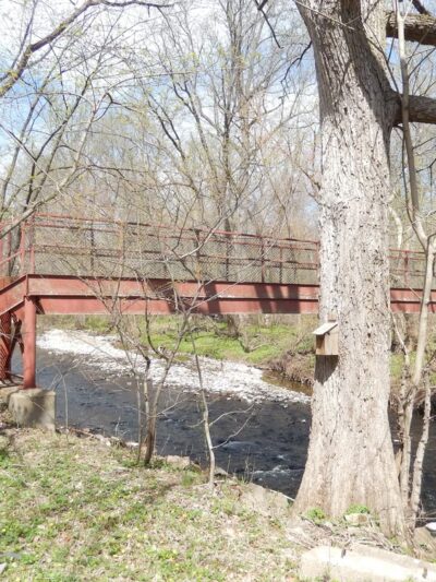 Four Mills Nature Reserve - Ambler, PA