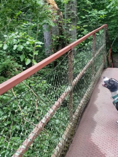 Four Mills Nature Reserve - Ambler, PA