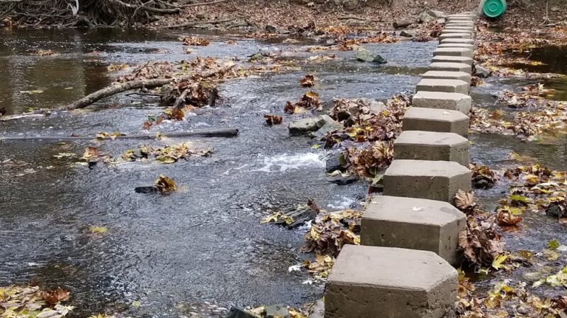Four Mills Nature Reserve - Ambler, PA