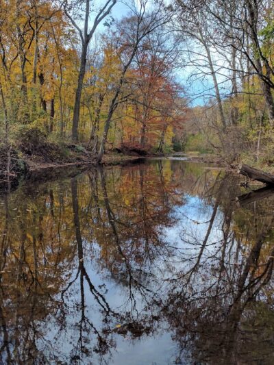 Four Mills Nature Reserve - Ambler, PA