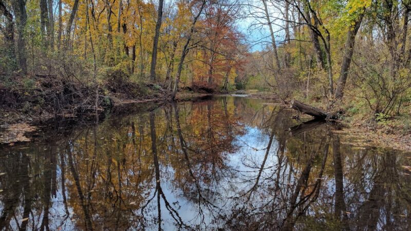 Four Mills Nature Reserve - Ambler, PA