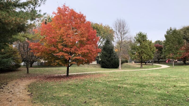 Ricciardi Park - Ambler, PA