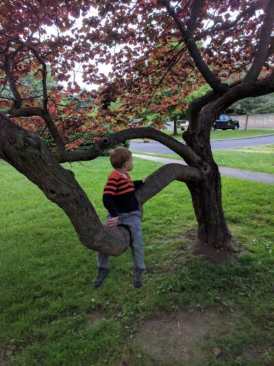 Ricciardi Park - Ambler, PA