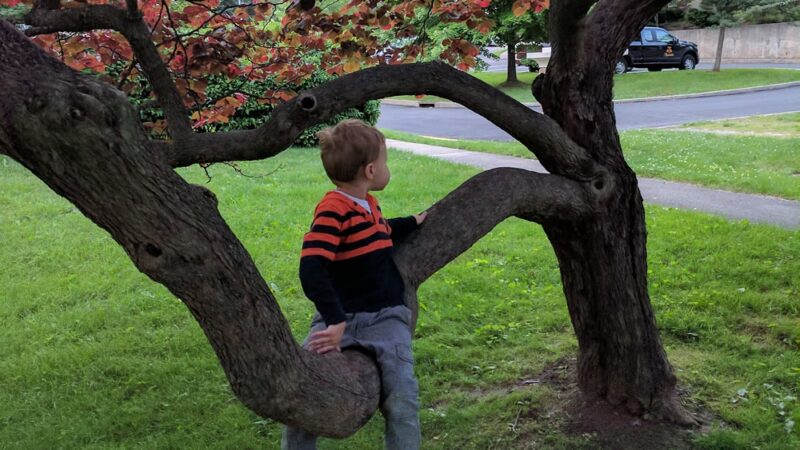 Ricciardi Park - Ambler, PA