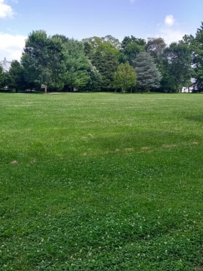 Ricciardi Park - Ambler, PA