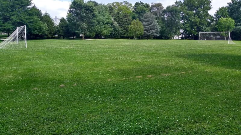 Ricciardi Park - Ambler, PA