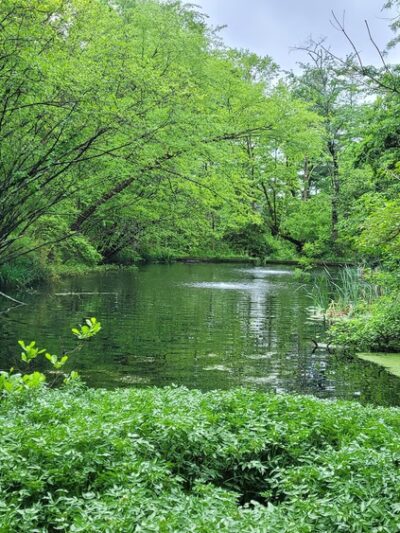 Robbins Park Environmental Education Center - Ambler, PA