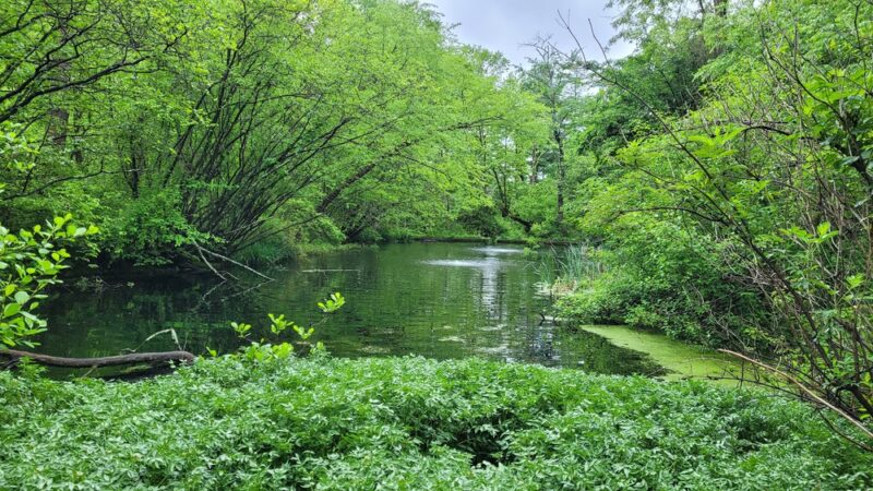 Robbins Park Environmental Education Center - Ambler, PA