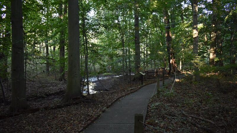 Robbins Park Environmental Education Center - Ambler, PA