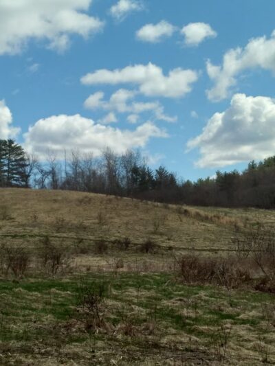 Amesbury Town Forest - Amesbury, MA