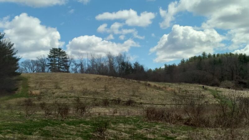 Amesbury Town Forest - Amesbury, MA