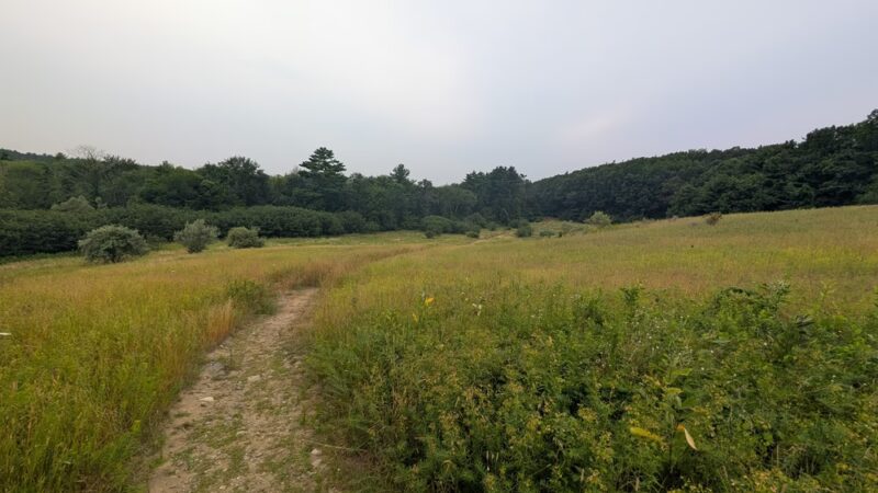 Amesbury Town Forest - Amesbury, MA